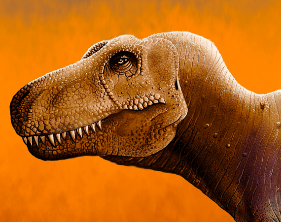 Tyrannosaurus illustration