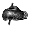 Boxer software logo