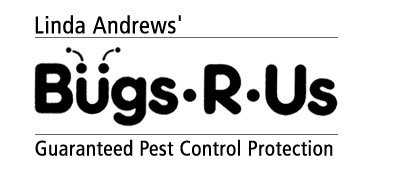 Bugs R Us Pest Control